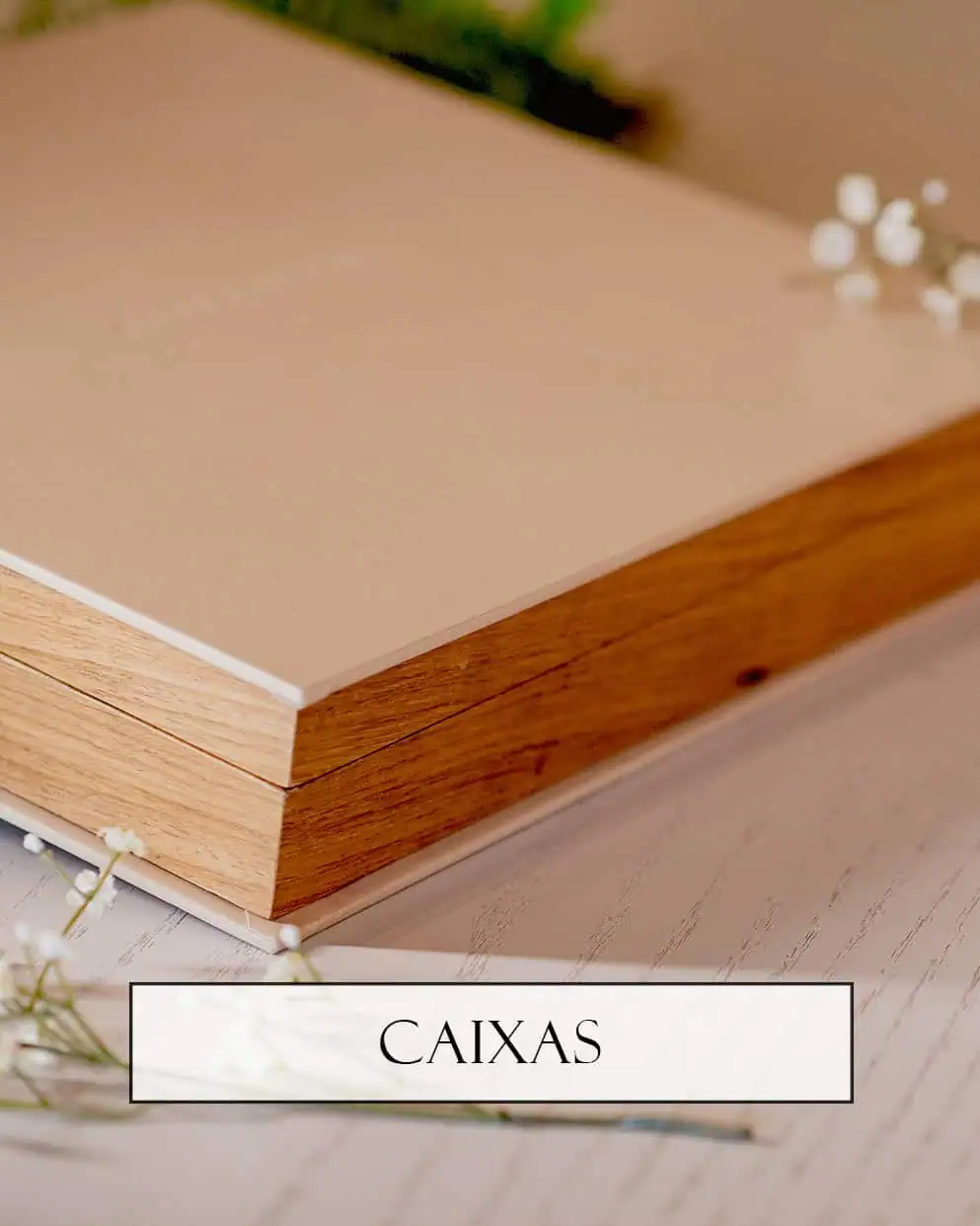 Caixas de madeira e MDF para armazenamento de alta qualidade | Schlosser Pro.